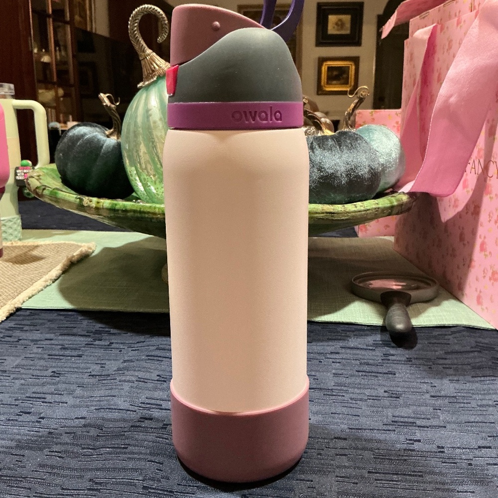 Owala FreeSip Insulated Stainless Steel Water Bottle 32oz, Dreamy Field